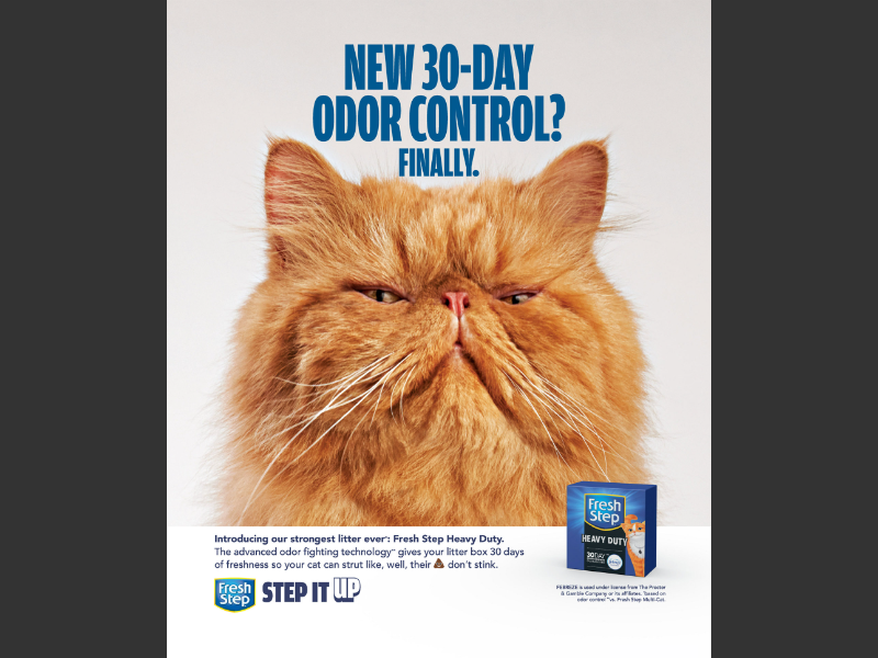 Step Ad Real Simple - February/March 2025Fresh Step Ad